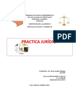 Informe de Practica Juridica I