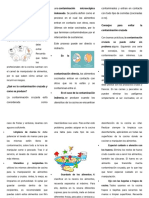 Contaminacion Cruzada