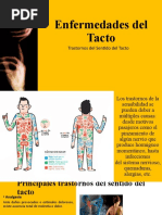 Enfermedades Del Tacto