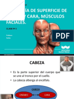 Anatomía de La Cara