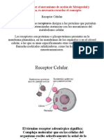 Metoprolol VS Terbutalina - Otros.