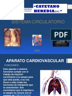 Clase 1 - SISTEMA CIRCULATORIO