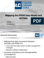 Mapping The PPDM Data Model and Witsml