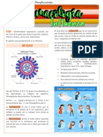 Farmacología Influenza - Complementaria