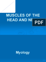 Muscles of The Head and Neck