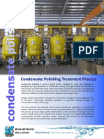 Condensate Polishing