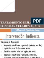 Tratamiento Fonemas Velares 1