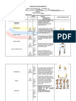 Formato Preparación Física Resistencia