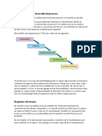 Metodología para El Desarrollo Del Proyecto - Cascada