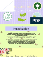 Impacto Ambiental