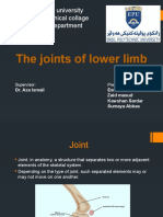 Joint of Lower Limb