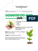 Partes de La Planta.