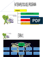 Etapas Tratamiento