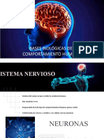 Clase 9 Bases Biológicas Del Comportamiento Humano