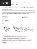 EVALUACIÓN FORMATIVA #2 (Guía 19)