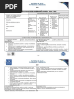 Plan de Cuidados Nivel Avanzado - 2018-2020