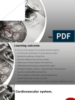 Pressure and Flow in Blood Vessels