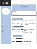 Informaticien Cyber Security: Langues