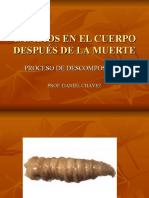 Cambiosenelcuerpodespusdelamuerte 110925162410 Phpapp01