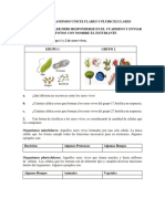 Taller Organismos Unicelulares y Pluricelulares