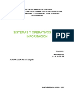 Sistemas y Operativos de La Informacion