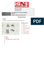 Atividade Avaliativa de Anatomia