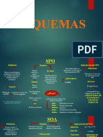 Esquemas Del Reglamento