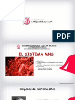 Sistema Mns