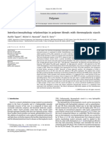 Interface-Morphology Relationships in Polymer Blends With Thermoplastic Starch