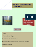 Biogas Production From Sewage