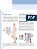 Runner's Knee: The Clinical Syndrome