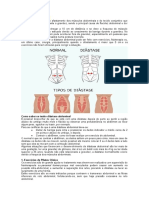 22 - Barriga e Contrações