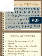 04 - Cell Cycle and Cell Division