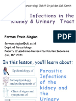 Infeksi Parasitik Pada Sistem Ginjal Dan Saluran Kemih Dr. Erwin