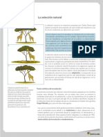 9° La Selección Natural