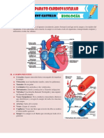 Aparato Cardiovascular