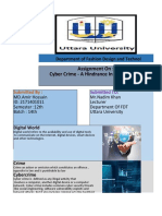 Cyber Crime - Assignment by Amir Khan