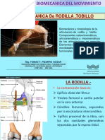 13 - Biomecanica Rodilla