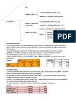 Taller 3 Análisis Estados Financieros 2021