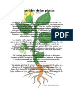 La Nutrición de Las Plantas