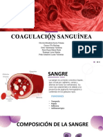 Coagulación Sanguínea