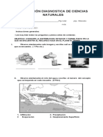 Evaluacion Diagnostica de Ciencias Naturales 5 Basico