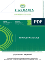 Empresas Estados Financieros SE