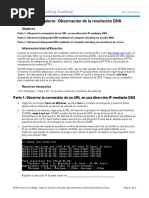 10.2.2.9 Lab - Observing DNS Resolution-1