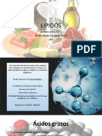 Lipidos Quimica