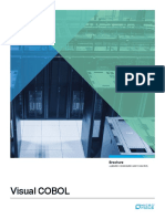 Visual Cobol Brochure