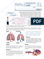 2.1 La Respiración