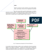 La Teoría Del Deporte