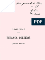 1878 - Lágrimas Agustina Andrade