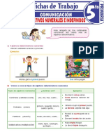 Adjetivos Determinativos Numerales e Indefinidos Quinto de Primaria Gramática